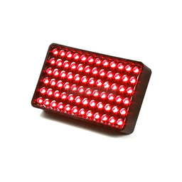 FIA/MSA LED Rain Light Red Racing Fog